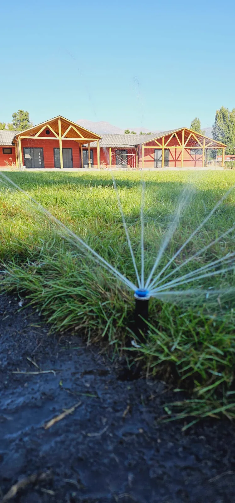Instalación de sistema de riego en un jardín
